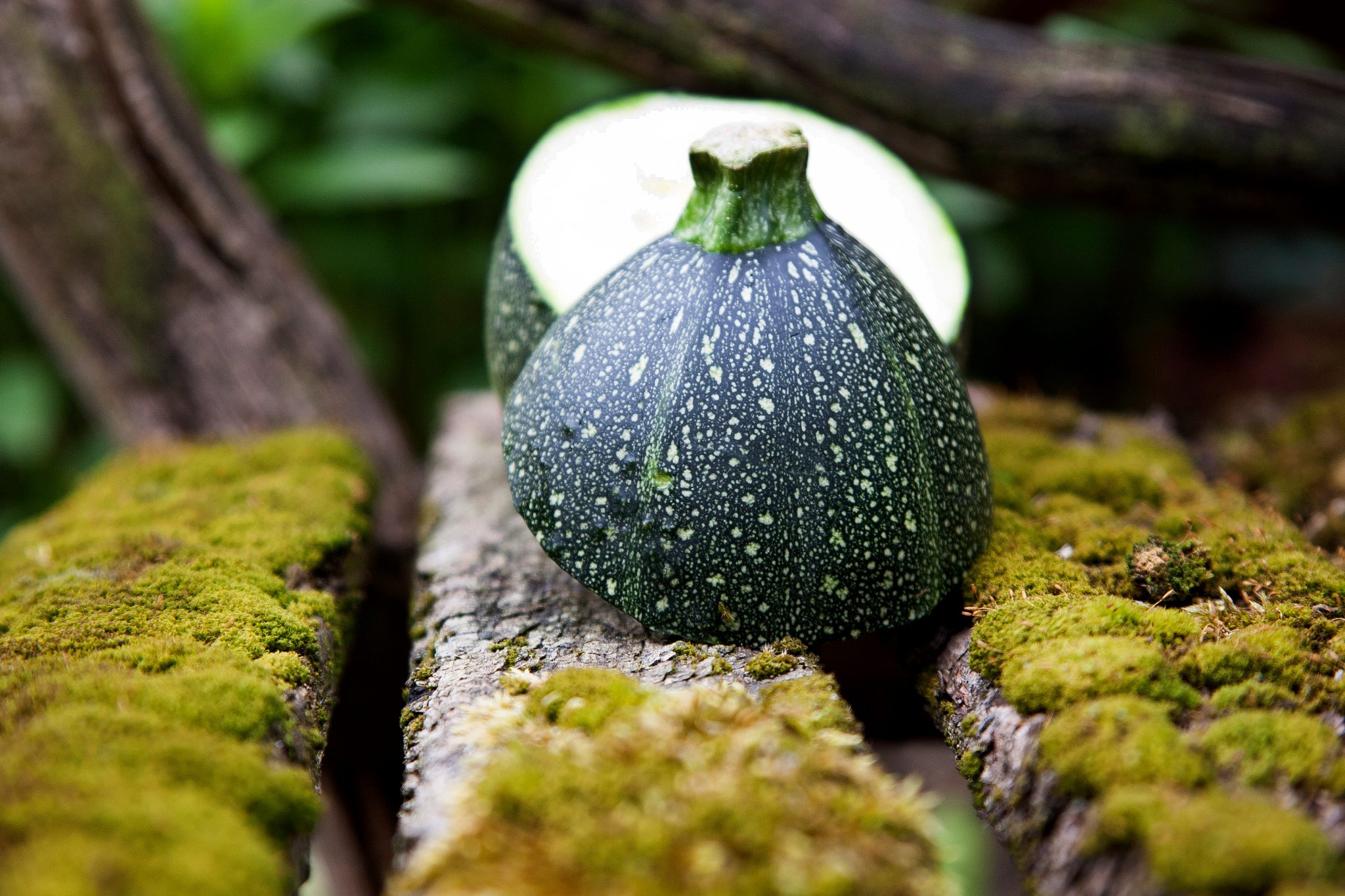 Natuurlijk Vegetarisch